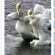 Image for article titled 10 Climate Change Pictures We Really Don't Need to See Again